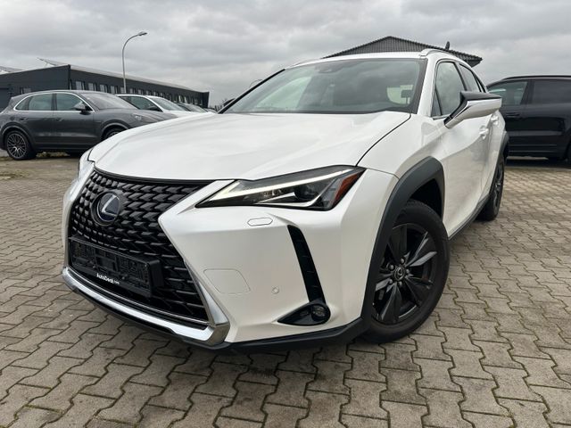 Lexus UX250H Luxury Line* 2 x Farbe leder