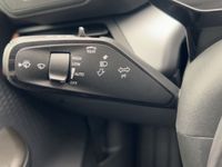 Cupra Born - Vorschau Bild 13