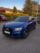 Audi SQ5 3.0 Plus TDI Quattro *STAGE1*8-FACH*VOL - Audi SQ5: Plus