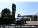 Mazda CX-3 SKYACTIV-G EXCLUSIVE+NAV+AHK+8FACH BEREIFT - Mazda: Cx8
