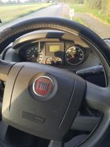 Fiat Ducato - gebrauchte Fiat Ducato aus dem Jahr 2008