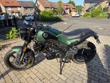 Benelli Leoncino 125 - BENELLI 125