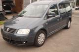 Volkswagen Caddy Maxi - Volkswagen Caddy Maxi aus 2010