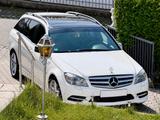 Mercedes-Benz C250 T CDI Avantgard AMG-Line , TÜV neu bis 2028 - Mercedes-Benz 250 mit Panoramadach