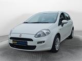 Fiat Punto Pop/KLIMA/SERVICE NEU - Fiat Punto: Pop