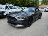 Ford Mustang GT 5.0 Convertible - Ford Mustang mit Benzin-Antrieb: Cabrio, 5.0