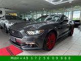 Ford Mustang Fastback Since 1964 Kamera - Ford Mustang: Fastback