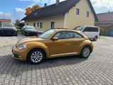 Volkswagen Beetle Design++TOP++Automatik,Pano,Navi++ - Volkswagen Beetle mit Diesel-Antrieb