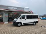 Peugeot Boxer Kombi 330 L1H1 Allure Blue-HDi 140 - Peugeot Boxer in Dresden