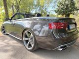 Audi S5 3.0 TFSI S tronic quattro Cabriolet - - Audi S5: Leder