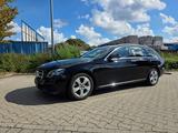 Mercedes-Benz E 250 T AVANTGARDE 9G-Autom. Vollleder DistrPlus - Mercedes-Benz E 250 mit Benzin-Antrieb: Vollleder, Scheckheftgepflegt, Kombi