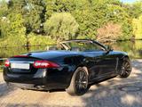 Jaguar XK 5.0 V8 Portfolio Cabriolet Top - Jaguar XK aus 2011