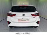 Kia cee'd GT / Ceed GT/LED/NAVI/Alcantara - gebrauchte Kia cee'd / Ceed aus dem Jahr 2019