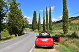 MINI Cooper D Cabrio Cooper - MINI Cooper D Cabrio von privat