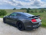 Ford Mustang GT V8, Schalter, Navi, SHZ, 55 Years - Ford Mustang Gebrauchtwagen in Augsburg