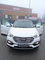 Hyundai SANTA FE/4x4/7 Sitze/Automatik/Vollleder/Euro6 - Hyundai SANTA FE in Ludwigshafen