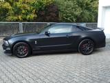 Ford Mustang Shelby GT500 Klima Leder - gebrauchte Ford Mustang aus dem Jahr 2011