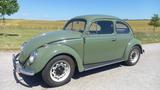 Volkswagen Käfer Ovali Okrasa - Volkswagen Oldtimer