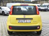 Fiat Pandina PANDA HYBRID POP 1.0 GSE 65PS PDC - Fiat New Panda Tageszulassungen