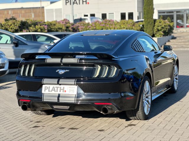 Ford Mustang  USA Shelby Optik