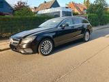 Mercedes-Benz Mercedes CLS Shooting brake - Mercedes-Benz CLS 250 Shooting Brake Kombi Gebrauchtwagen
