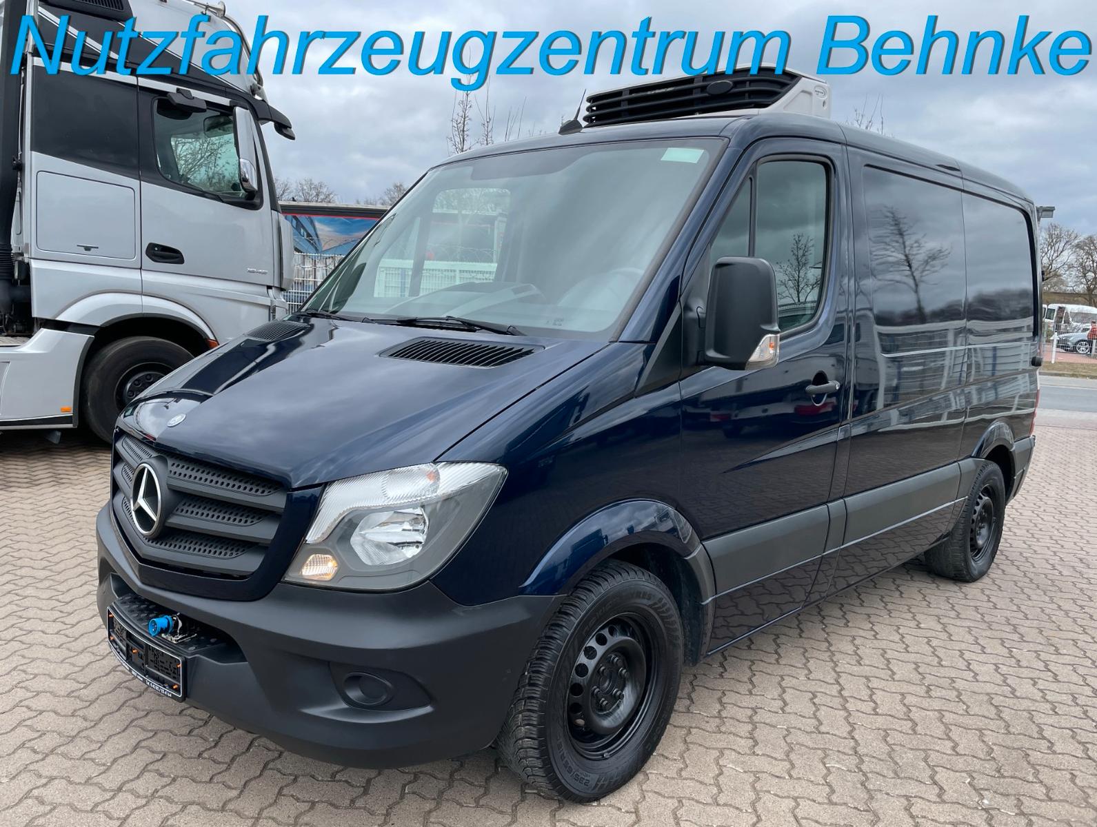 Mercedes-Benz Sprinter 313 CDI FD-Ausbau/Carrier 300/AC/Autom.