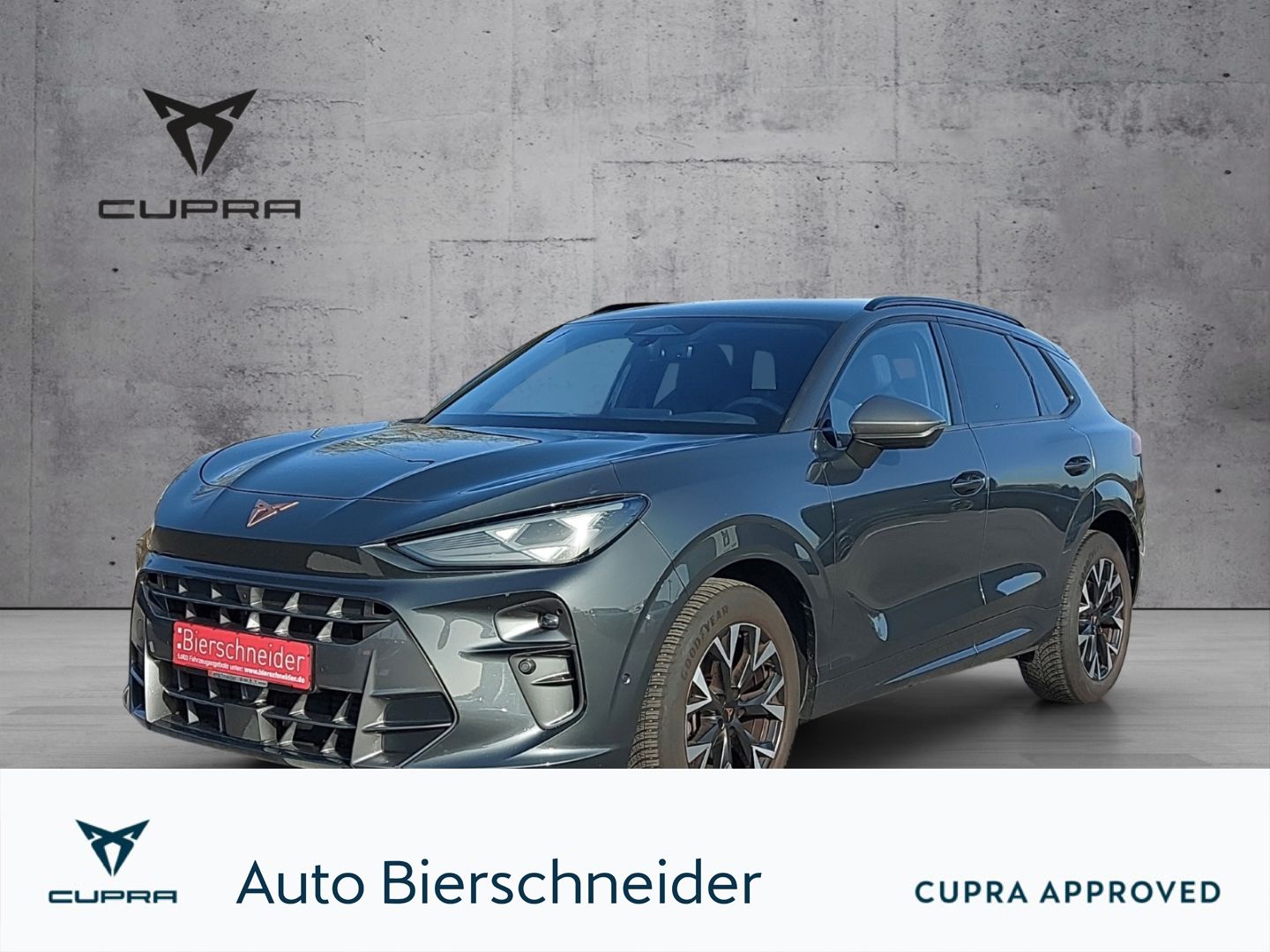 Cupra Terramar - Bild 1