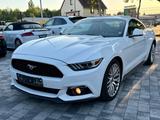 Ford Mustang 2.3 Fastback / Schalter / Unfallfrei - Ford Mustang: Fastback
