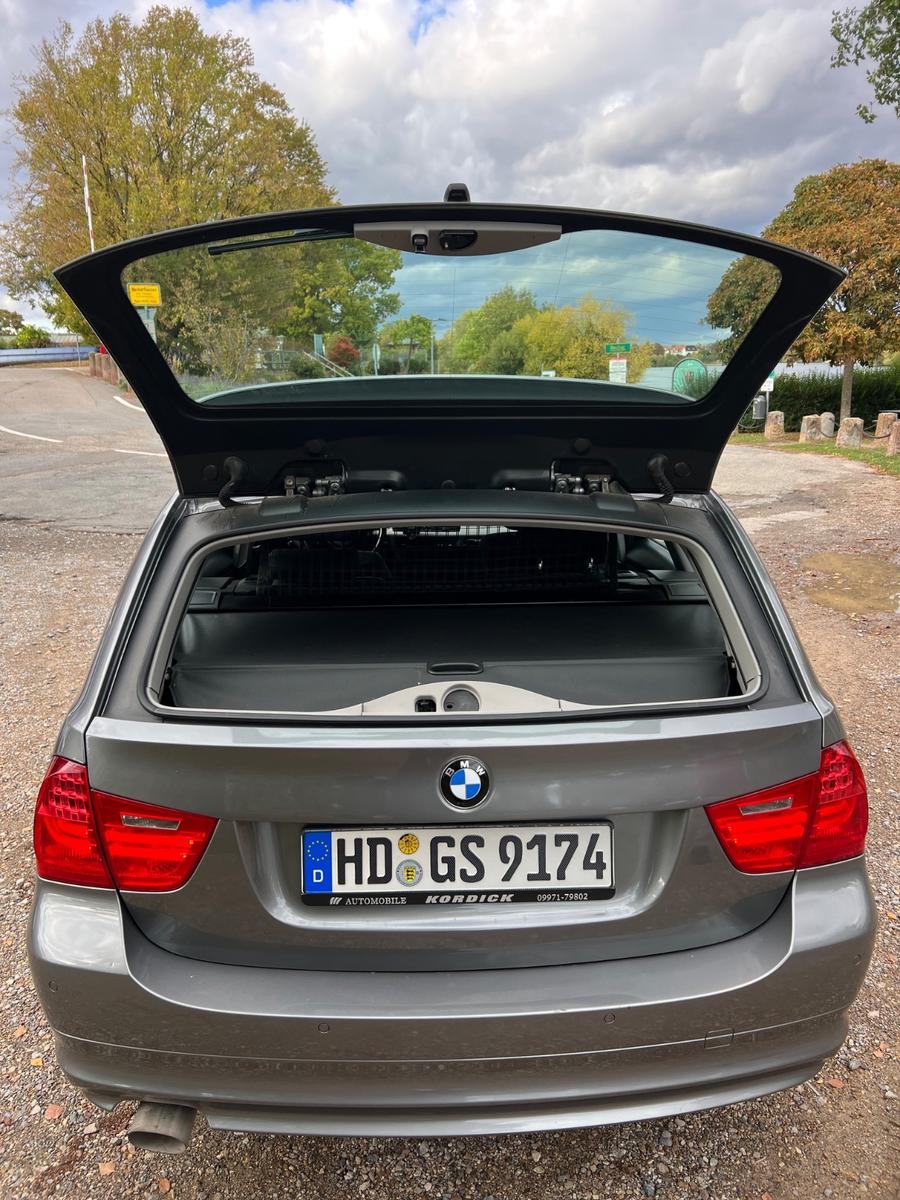 BMW 318 2011 — вигляд ззаду