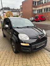 Fiat New Panda 1.2 8V EASY /TOP Zustand/Klima/TÜV - Fiat New Panda von privat
