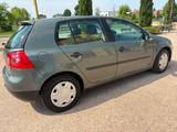 Volkswagen Golf 1.6 16V FSI - Volkswagen Golf aus 2004: 1.6