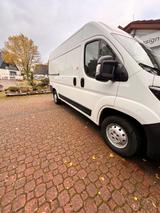 Peugeot Zum Verkauf: Gepflegtes Auto in Top-Zustand  - Pkw-Anhänger Verkauf