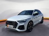 Audi SQ5 3.0 TDI quattro Tiptronic MATRIX*NAV*SHZ*PDC - Audi SQ5 in Saarbrücken
