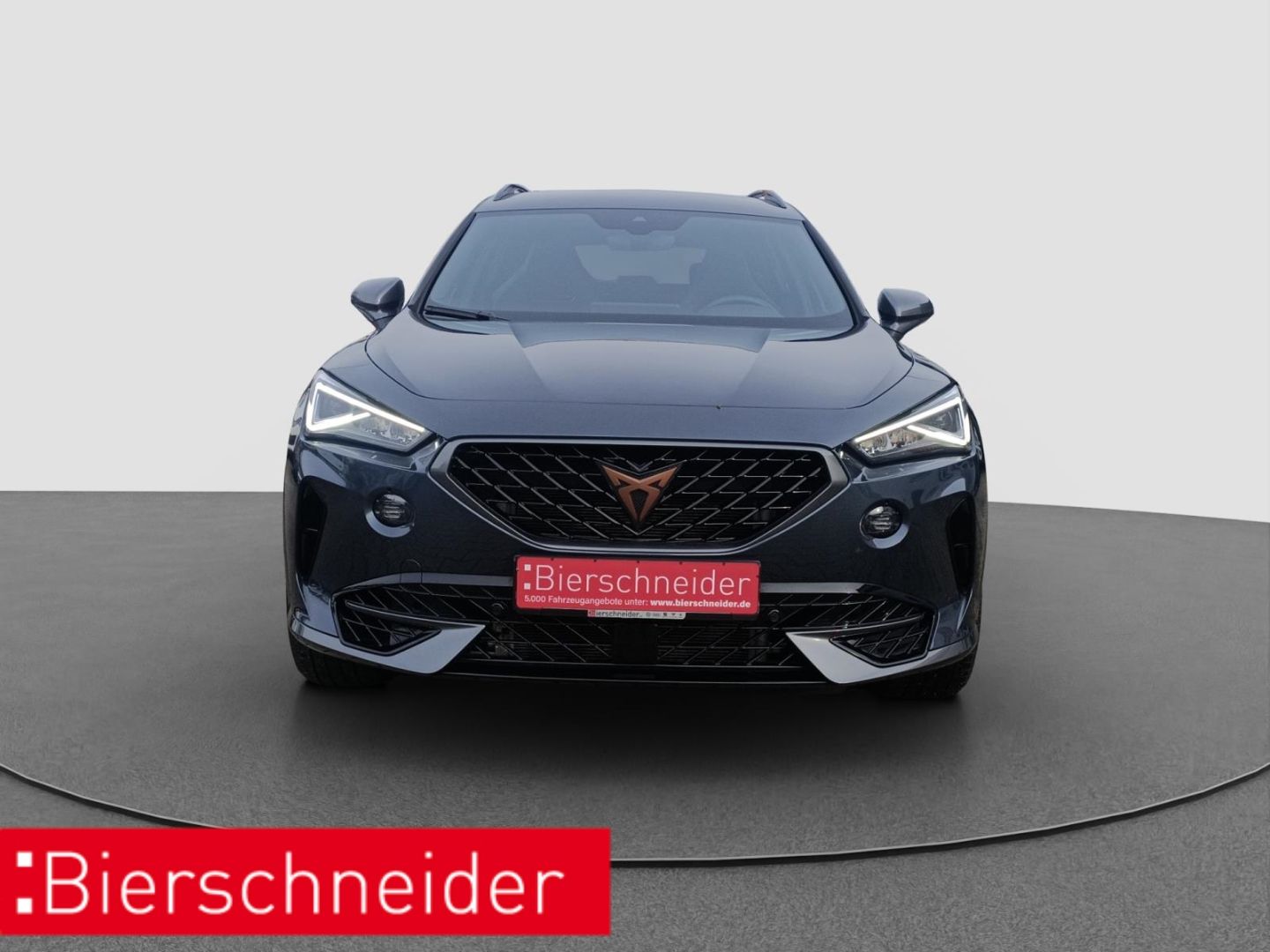 Cupra Formentor 2.0 TSI DSG 4Drive VZ DCC BEATS CAM SH imagem 3