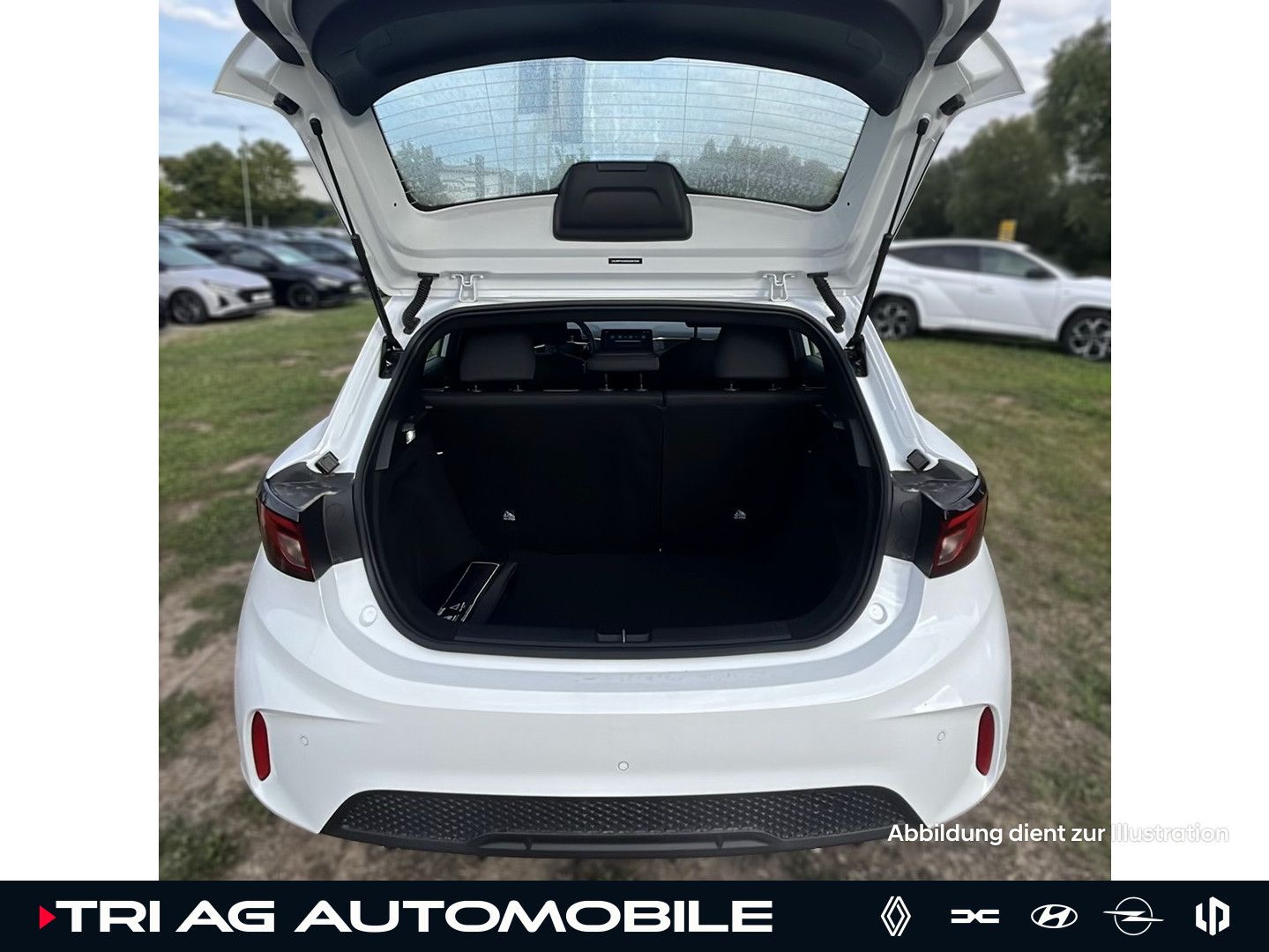MG3