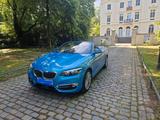 BMW Rarität: 220i Steptronic Cabrio Luxury Line - BMW 2 Series in Düsseldorf