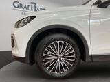Volkswagen Tiguan Life 2.0 TDI DSG NaviPro AHK LED-Plus - Volkswagen Tiguan: Plus