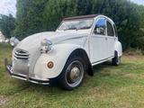 Citroën Ente zu adoptieren - Citroën 2 CV mit Benzin-Antrieb: Cabrio