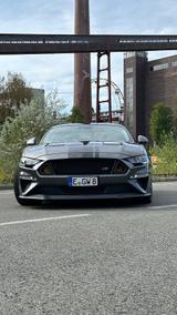 Ford Mustang 5.0 Ti-VCT V8 GT Kompressor - Ford Mustang in Bochum