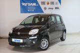 Fiat Panda MYSTYLE 1.2 8V 69PS *Klima* - Fiat Panda: My