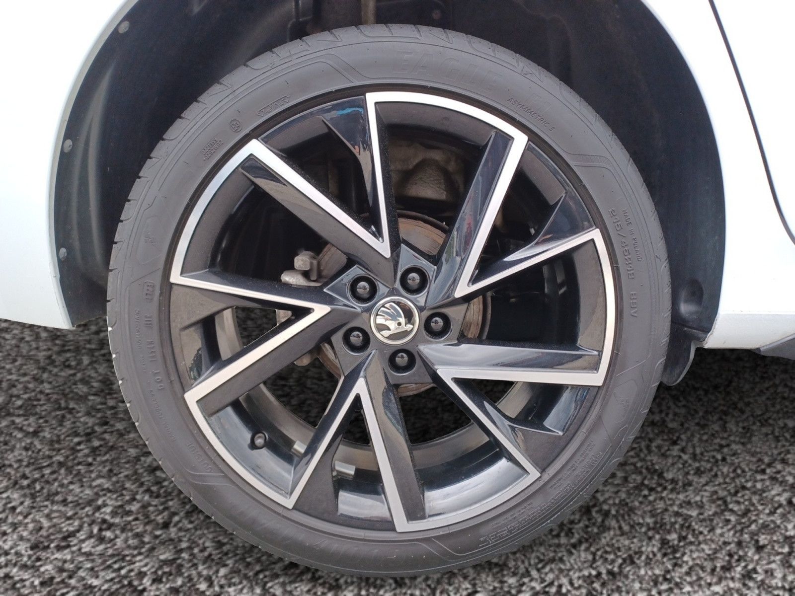 Fahrzeugabbildung SKODA Kamiq 1.0 TSI DSG Monte Carlo Rückfahrkamera