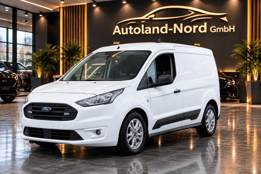 Image of Ford Transit Connect