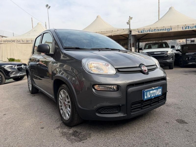 Image of Fiat Panda