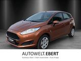 Ford Fiesta 1.0 EcoBoost Trend - Ford Fiesta Gebrauchtwagen in Mannheim