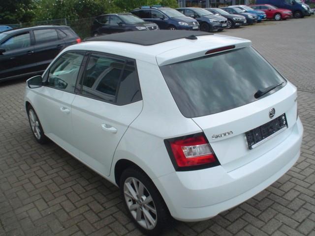 Skoda Fabia Clever eAC SHz Kamera ALUSchibedach