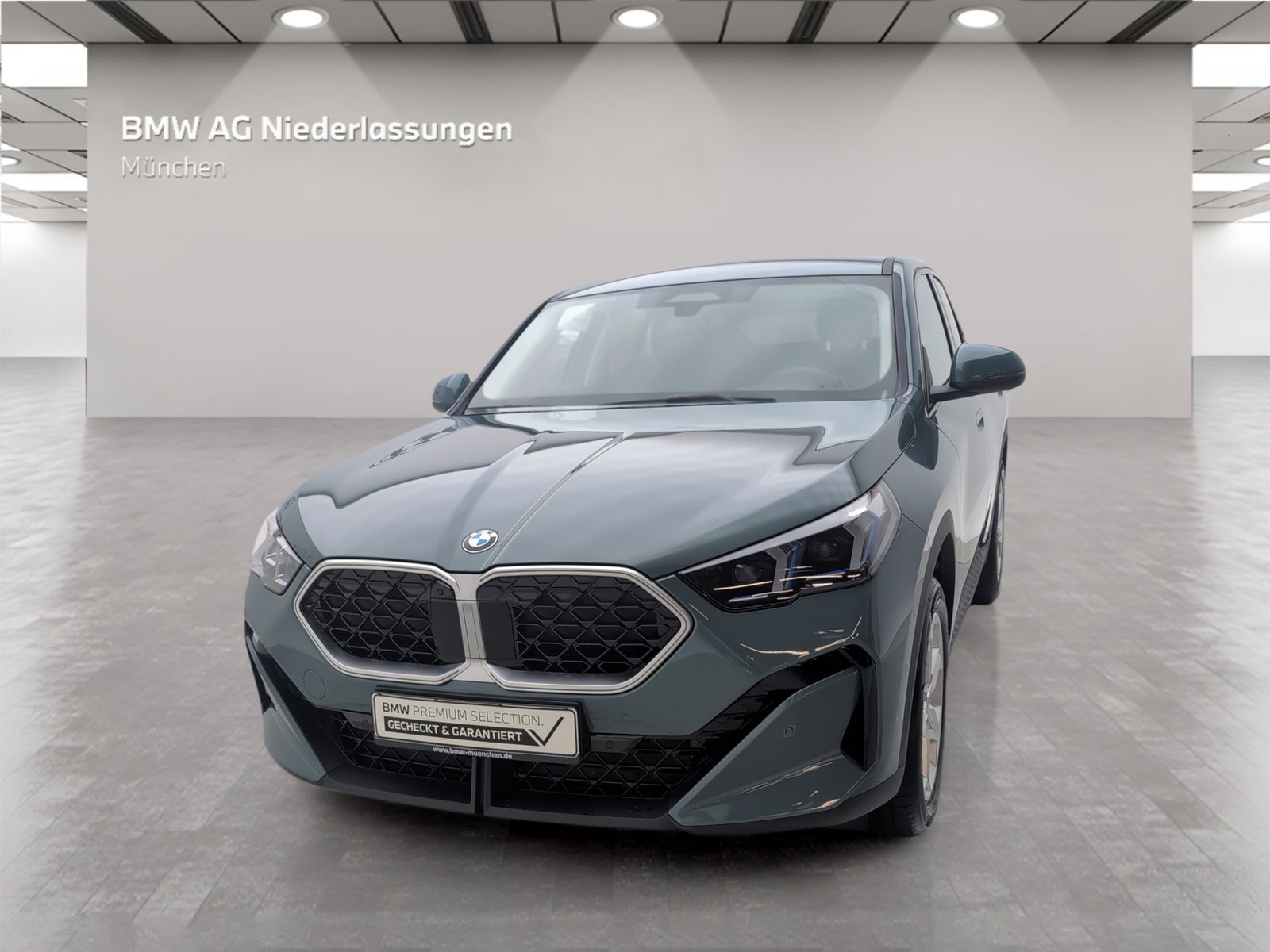 BMW X2 sDrive20i AHK Driv.Assist.Prof Harman K LED foto 3