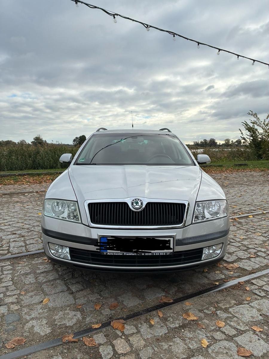 Skoda Octavia 2007 — вигляд ззаду