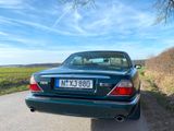 Jaguar XJ8 3.2 - - Jaguar XJ8: 3.2