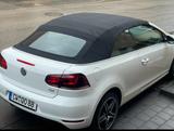 Volkswagen Golf 1.6 TDI Cabriolet - - Volkswagen Golf mit Diesel-Antrieb: Cabrio, 1.6