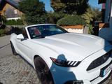 Ford Mustang 2.3 EcoBoost - - Ford mit Benzin-Antrieb: Cabrio, Schaltgetriebe